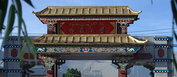 西藏大学2025年高考在河北分数线：历史类最低556分，物理类最低544分