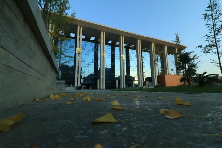 2025安康学院地方公费师范生分数线