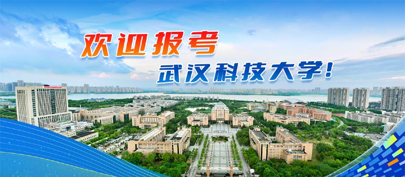 武汉科技大学2025录取分数线（各最低分专业汇总）