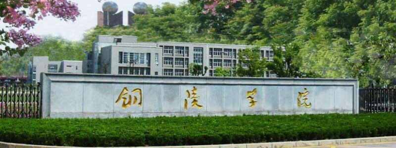 铜陵学院2025安徽省内专业分数线和最低位次