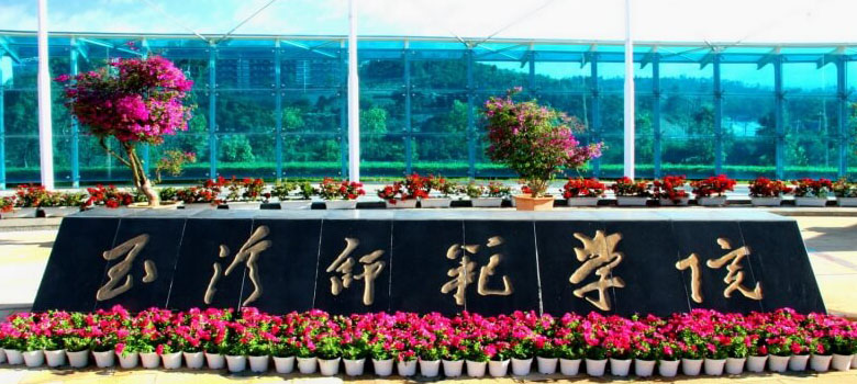 2025年玉溪师范学院各省录取分数线汇总(含艺术体育类和预科分数)