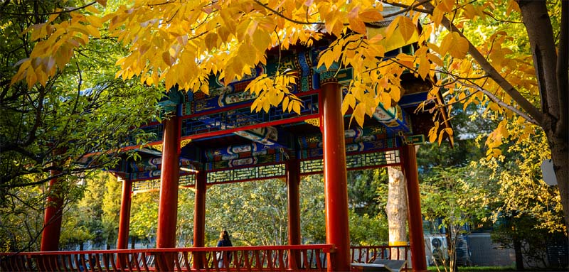 2025年中国农业大学2025年在北京分数线636分，位次5139