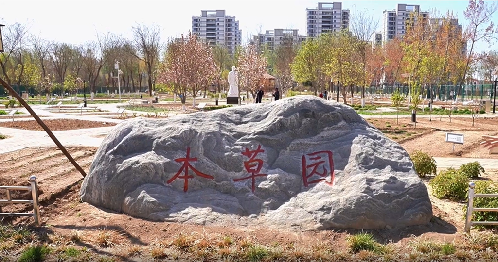 河北化工医药职业技术学院中药学专业录取分数线