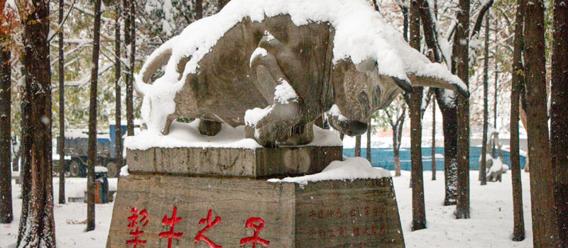 曲阜师范大学雪后校园风景