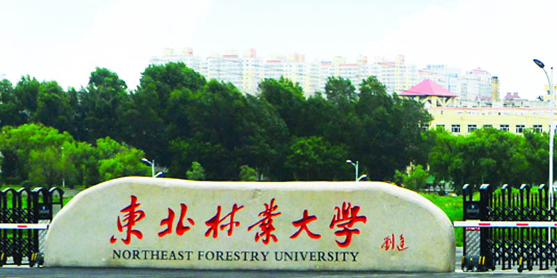 东北林业大学是985还是211 东北林业大学是985还是211
