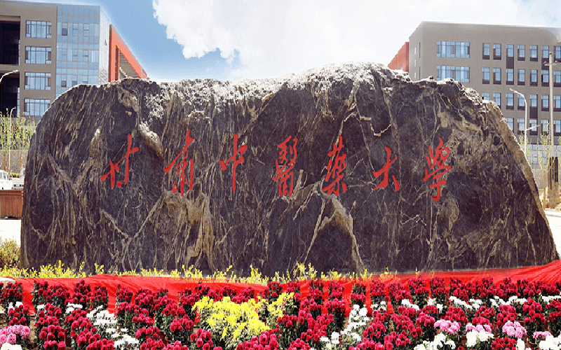 甘肃中医药大学分数线2025:最低分排名与2026年参考