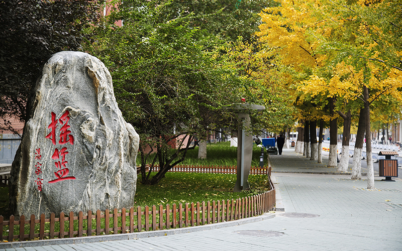 中国地质大学 中国地质大学