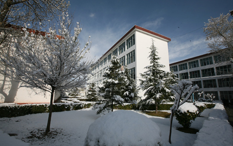 山西普通批历史类西藏大学2027参考分