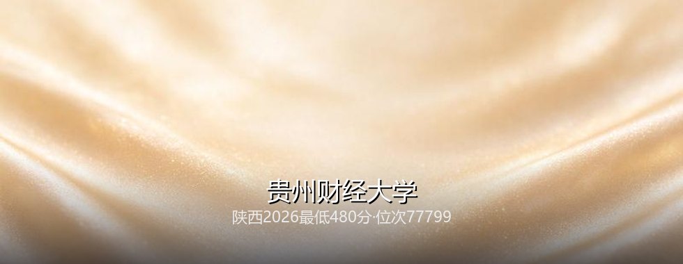 贵州财经大学