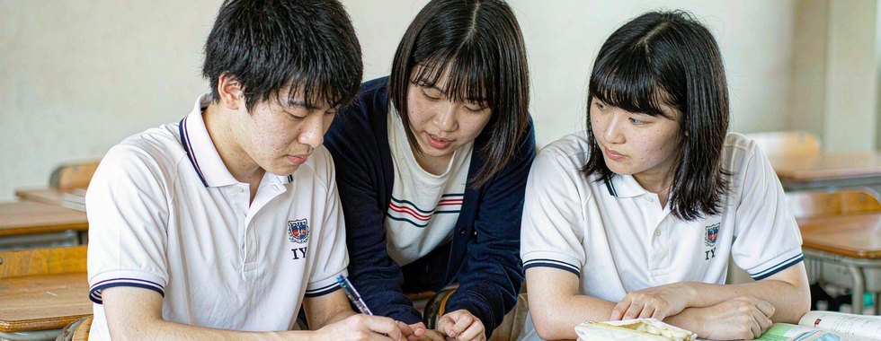 广东多少分能读青岛农业大学？2026最低500分、热门专业5
