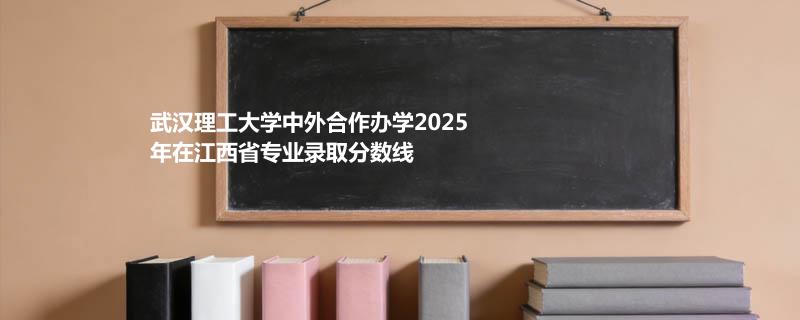 武汉理工大学中外合作办学2025在江西分专业分数线和最低位次