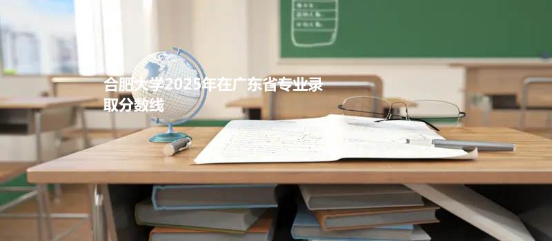 合肥大学2025在广东专业录取最低分数