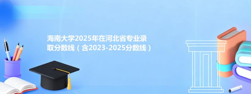 海南大学2025年在河北中外合作办学分数线和最低位次(含2023-2025历年)