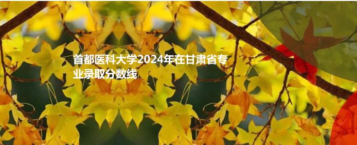 首都医科大学2024年在甘肃省专业录取分数线