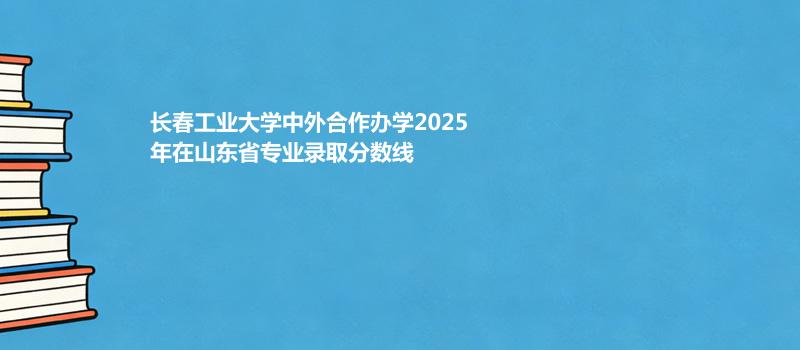 长春工业大学中外合作办学2025在山东分专业最低分和最高分