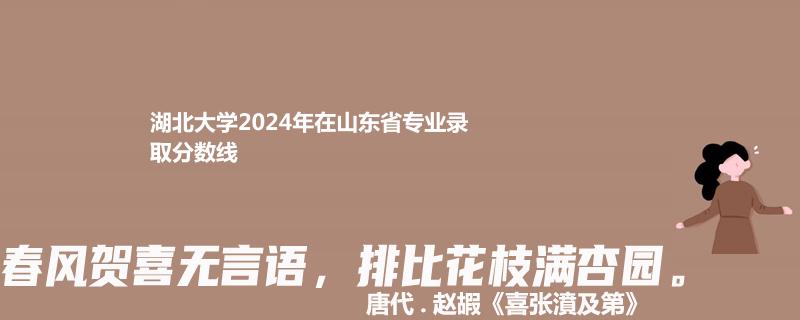 湖北大学2024年在山东省专业录取分数线