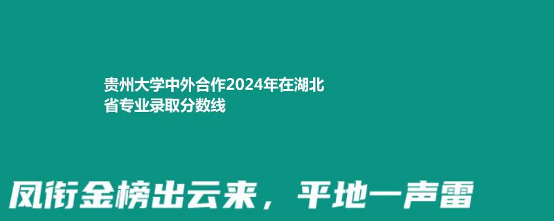 贵州大学中外合作2024年在湖北专业录取分数线