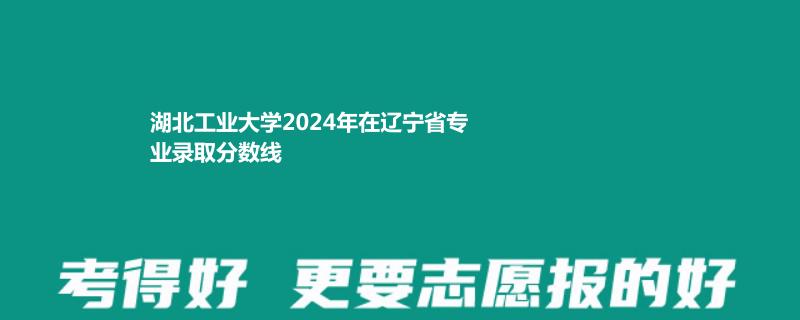 湖北工业大学2024年在辽宁省专业录取分数线