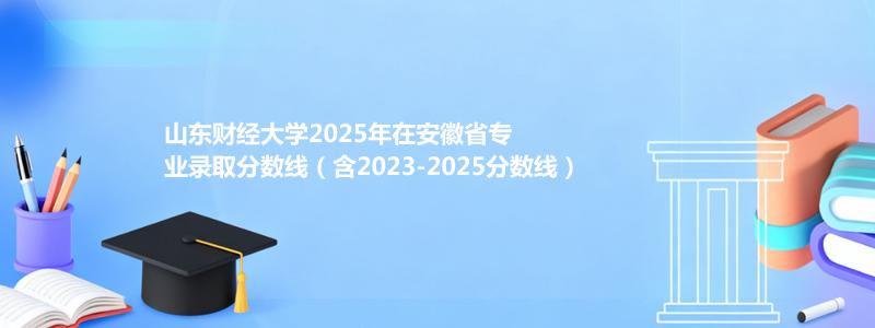 山东财经大学2025年在安徽专业录取分数线(含2023-2025历年)