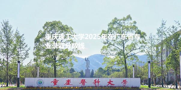 重庆理工大学2025年在广东省专业录取分数线