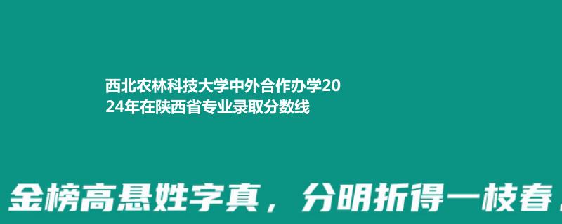 西北农林科技大学中外合作办学2024陕西专业最低分、最高分及位次