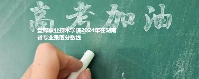 盘锦职业技术学院2024年在湖南省专业录取分数线