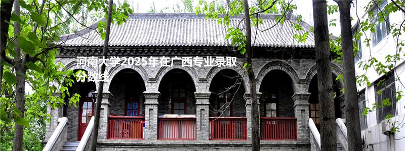 河南大学2025年在广西专业录取分数线