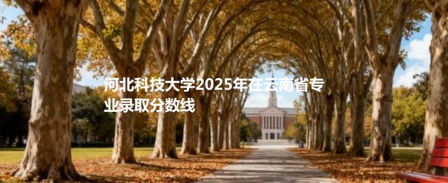 河北科技大学2025在云南专业录取最低分