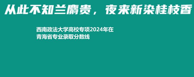 西南政法大学高校专项2024青海各专业最低分及录取排名