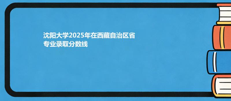 沈阳大学2025高考在西藏自治专业录取最低分数线