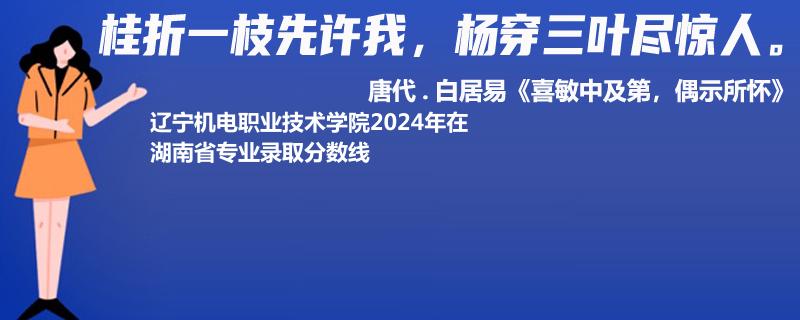 辽宁机电职业技术学院2024年在湖南省专业录取分数线