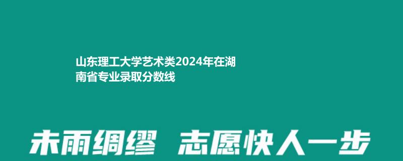 山东理工大学艺术类2024年在湖南专业录取分数线
