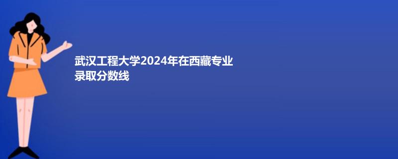 武汉工程大学2024年在西藏专业录取分数线