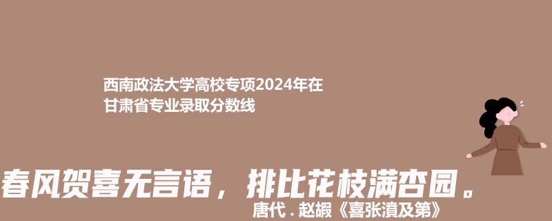 西南政法大学高校专项2024年在甘肃省专业录取分数线