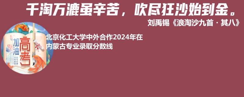 北京化工大学中外合作2024高考内蒙古专业录取分数线
