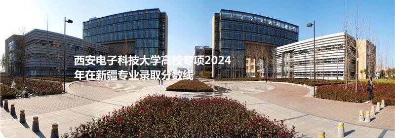 西安电子科技大学高校专项2024新疆专业录取分数线