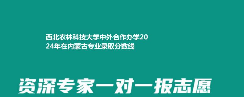 西北农林科技大学中外合作办学2024年在内蒙古专业录取分数线