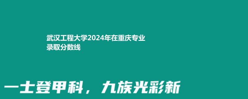 武汉工程大学2024年在重庆专业录取分数线