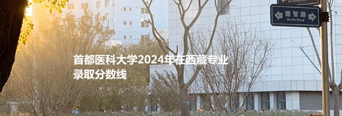 首都医科大学2024年在西藏专业录取分数线