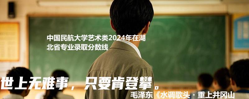 中国民航大学艺术类2024年在湖北省专业录取分数线
