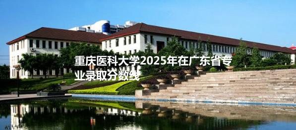 重庆医科大学2025年在广东省录取分数线