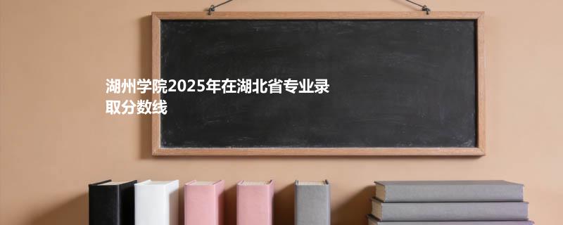湖州学院2025在湖北分专业录取最低分统计表