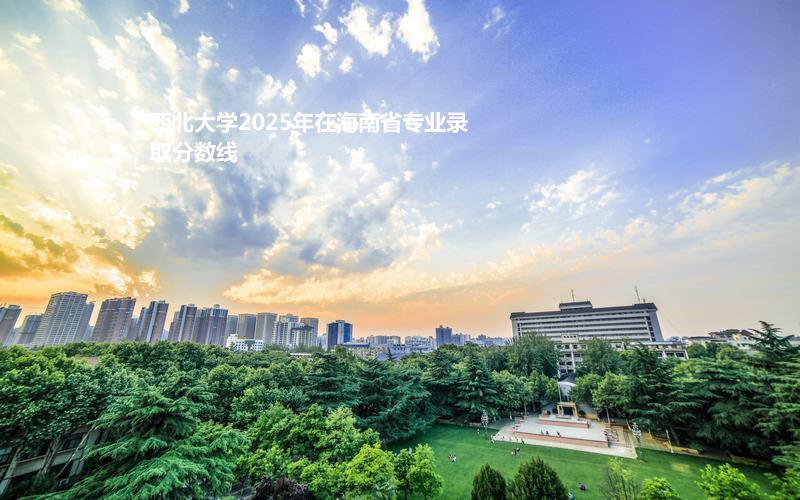 西北大学2025年在海南省专业录取分数线