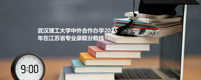 武汉理工大学中外合作办学2025在江苏分专业分数线和最低位次