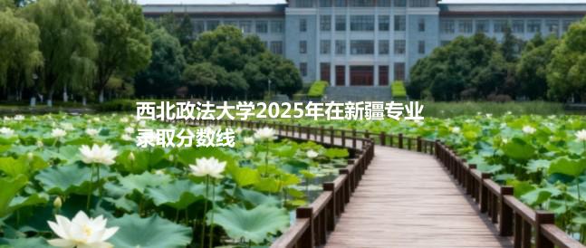 西北政法大学2025年在新疆各专业录取最低分和最高分汇总
