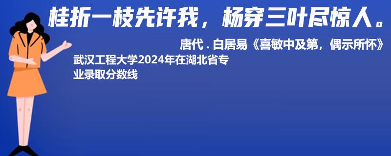 武汉工程大学2024年在湖北省专业录取分数线