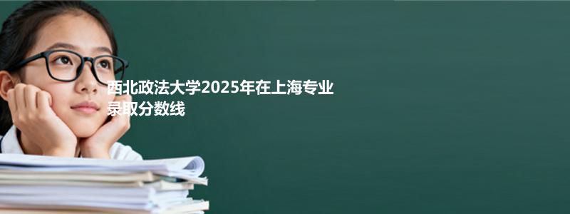 西北政法大学2025高考上海分数线：最低538分