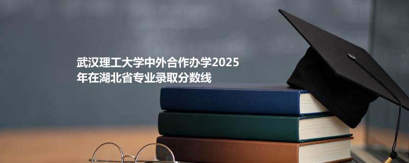 武汉理工大学中外合作办学2025年在湖北省专业录取分数线