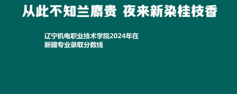 辽宁机电职业技术学院2024年在新疆专业录取分数线