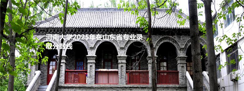 河南大学2025年在山东省专业录取分数线